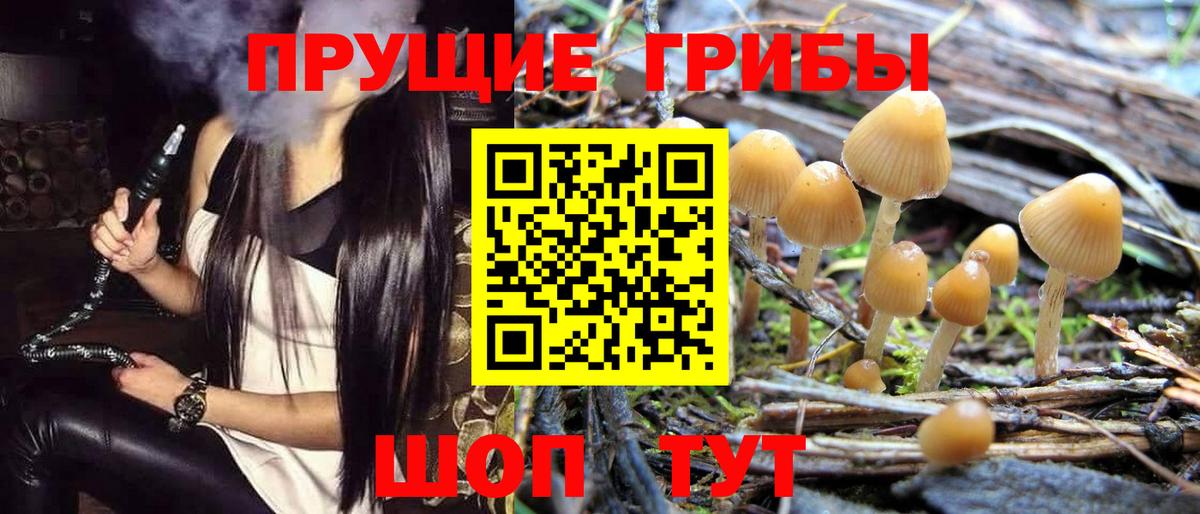 Галлюциногенные грибы ЛСД Кувандык