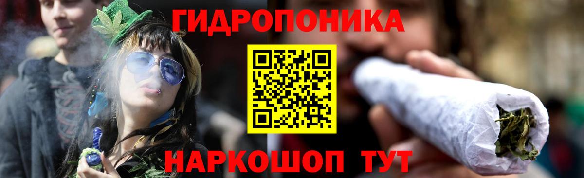 Канабис конопля  Шишки марихуана сатива  Кувандык  Бошки Шишки гибрид  Вход с VPN 